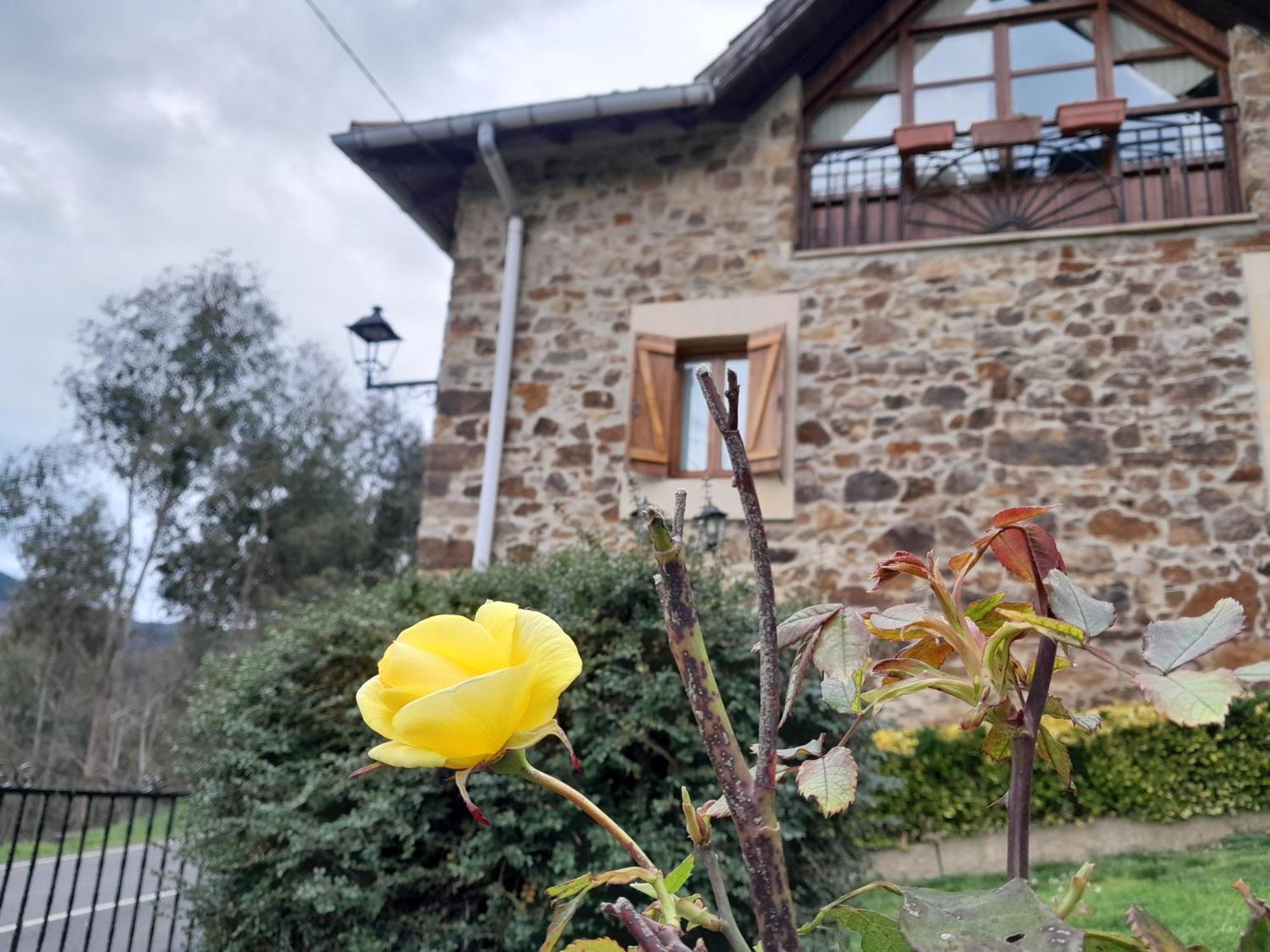 Urrezko Ametsa Casa de hóspedes Sopuerta Exterior foto